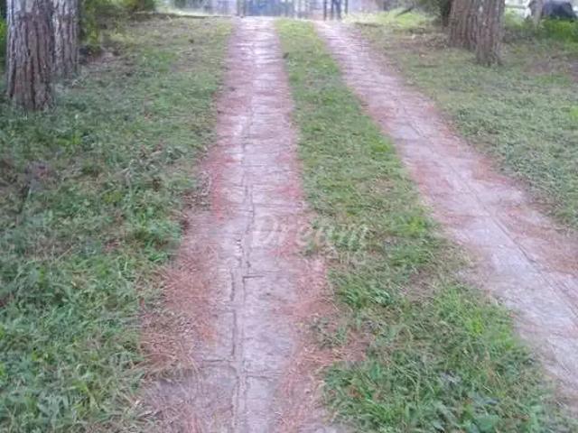Sítio / Chácara para Venda em Teresópolis/RJ Cruzeiro 6 Quartos
