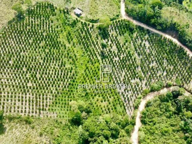 Sítio / Chácara para Venda em Teresópolis/RJ Fazenda Alpina 3 Quartos