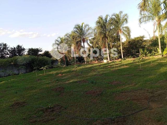 Sítio / Chácara para Venda em Terezópolis de Goiás/GO Setor Central 1 Quartos