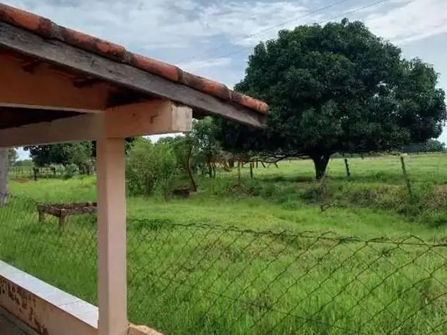 Sítio / Chácara para Venda em Terra Rica/PR Centro 1 Quartos