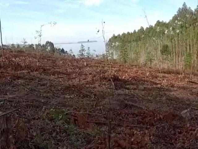 Sítio / Chácara para Venda em Tibagi/PR Centro