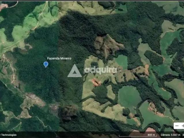 Sítio / Chácara para Venda em Tibagi/PR Zona Rural