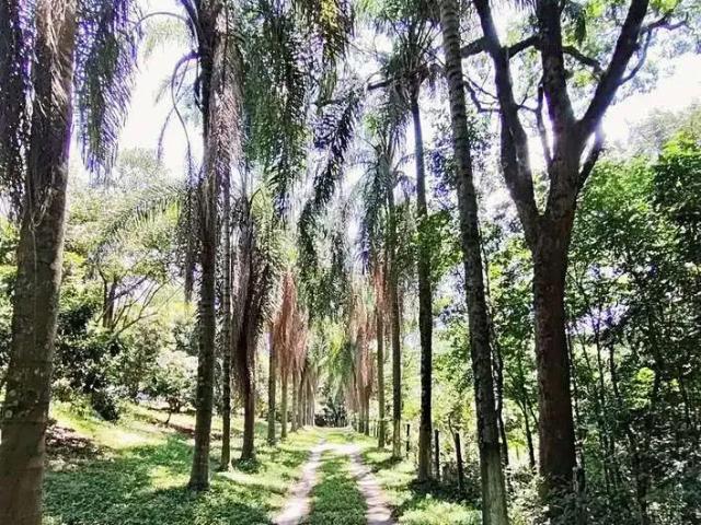 Sítio / Chácara para Venda em Tietê/SP Zona Rural