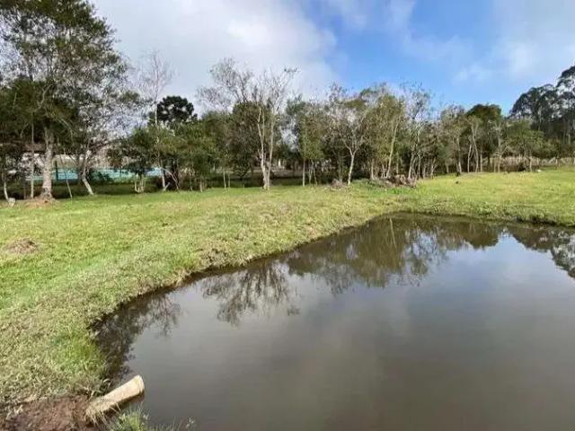 Sítio / Chácara para Venda em Tijucas do Sul/PR Tabatinga