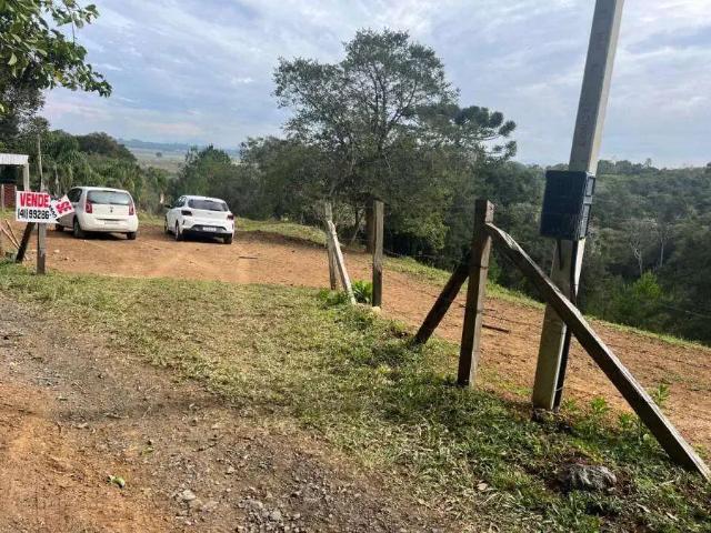 Sítio / Chácara para Venda em Tijucas do Sul/PR Tabatinga