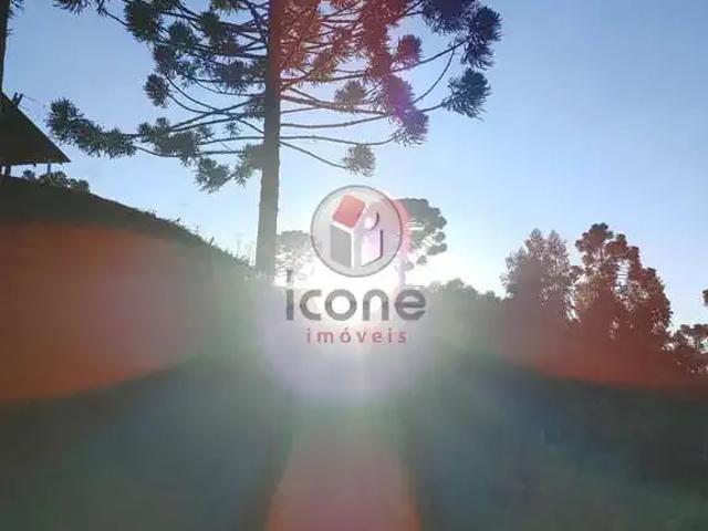 Sítio / Chácara para Venda em Tijucas do Sul/PR Zona Rural 1 Quartos