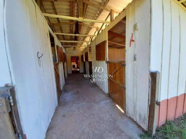 Sítio / Chácara para Venda em Tijucas do Sul/PR Zona Rural