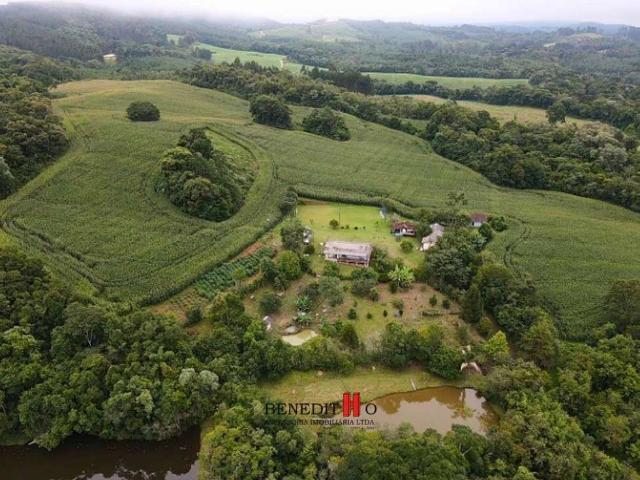 Sítio / Chácara para Venda em Tijucas do Sul/PR Zona Rural 3 Quartos