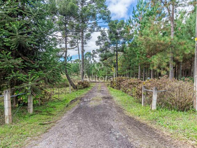 Sítio / Chácara para Venda em Tijucas do Sul/PR Zona Rural
