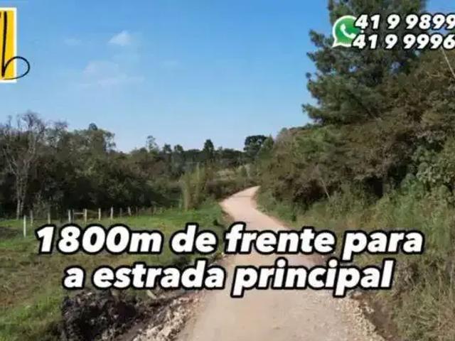 Sítio / Chácara para Venda em Tijucas do Sul/PR Ambrósios
