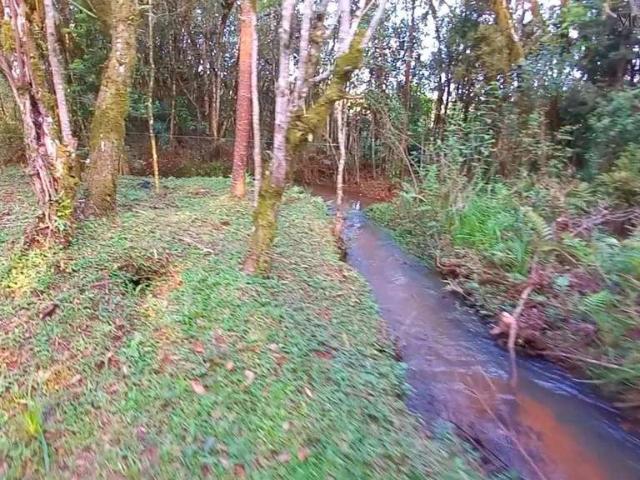 Sítio / Chácara para Venda em Tijucas do Sul/PR Ambrósios