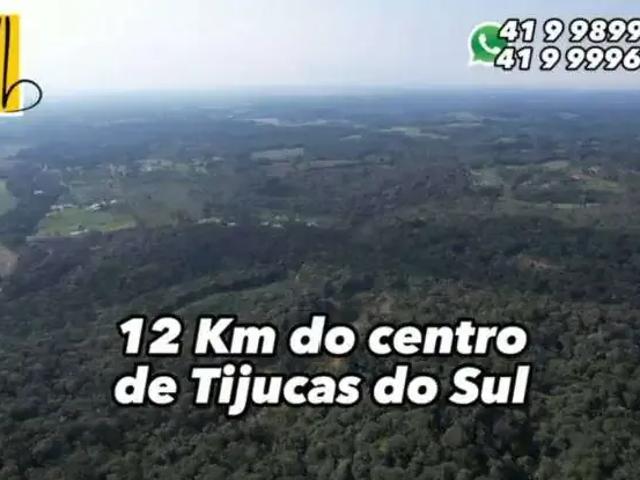 Sítio / Chácara para Venda em Tijucas do Sul/PR Ambrósios