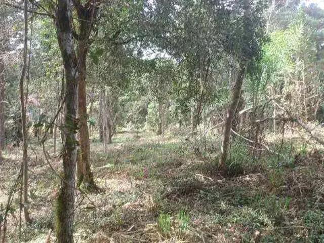 Sítio / Chácara para Venda em Tijucas do Sul/PR Campestre