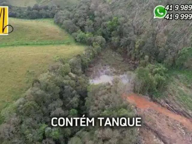 Sítio / Chácara para Venda em Tijucas do Sul/PR Campestre