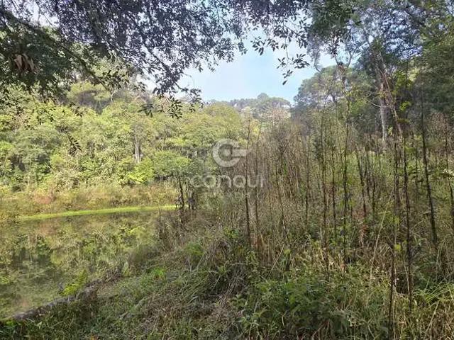 Sítio / Chácara para Venda em Tijucas do Sul/PR Campo Alto 3 Quartos