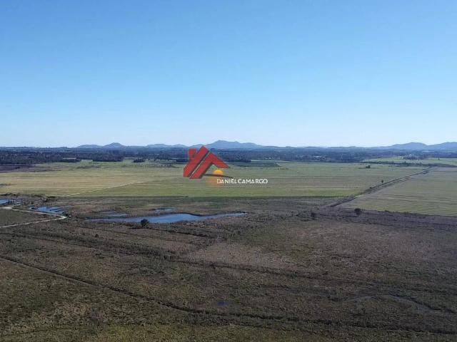 Sítio / Chácara para Venda em Tijucas do Sul/PR Campo Alto