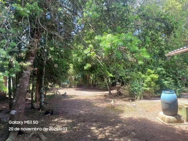 Sítio / Chácara para Venda em Tijucas do Sul/PR Campo Alto 4 Quartos