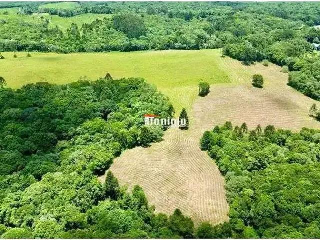 Sítio / Chácara para Venda em Tijucas do Sul/PR Campo Alto