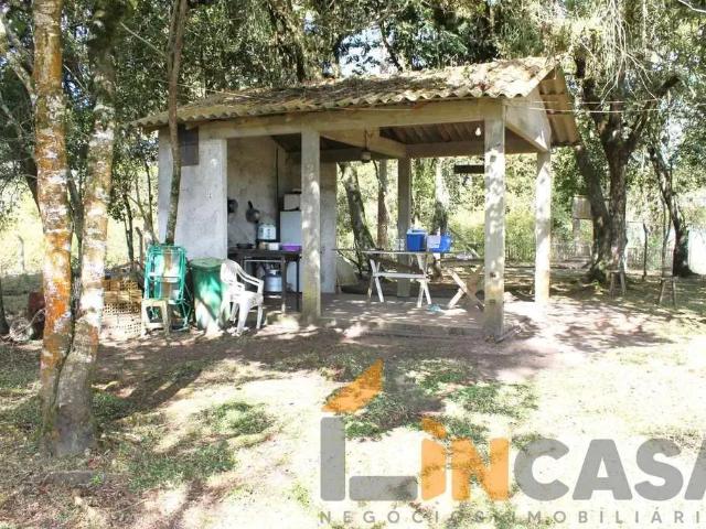 Sítio / Chácara para Venda em Tijucas do Sul/PR Centro 1 Quartos