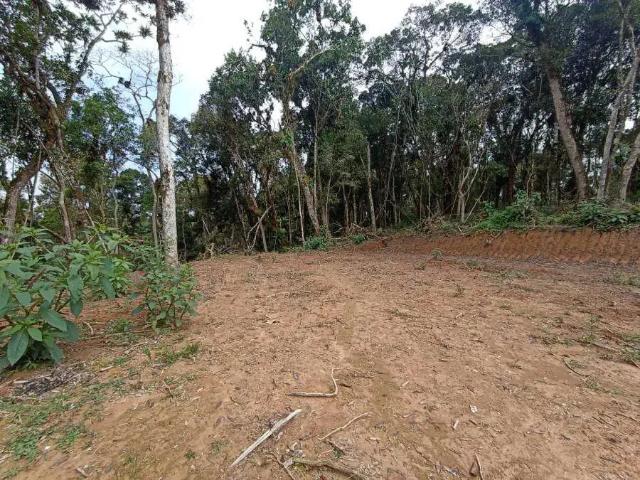 Sítio / Chácara para Venda em Tijucas do Sul/PR Córrego das Pedras