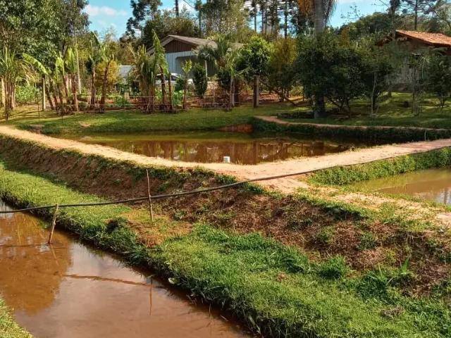 Sítio / Chácara para Venda em Tijucas do Sul/PR LAGOA 2 Quartos