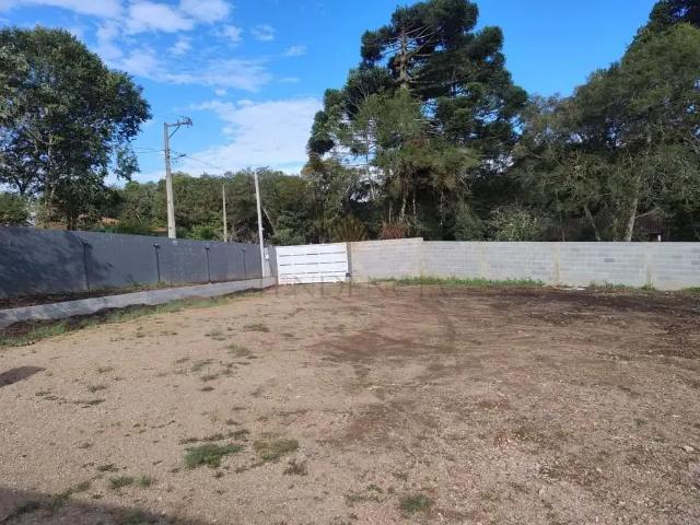 Sítio / Chácara para Venda em Tijucas do Sul/PR Lagoinha 2 Quartos
