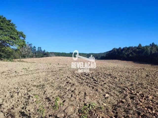 Sítio / Chácara para Venda em Tijucas do Sul/PR Lagoinha 3 Quartos