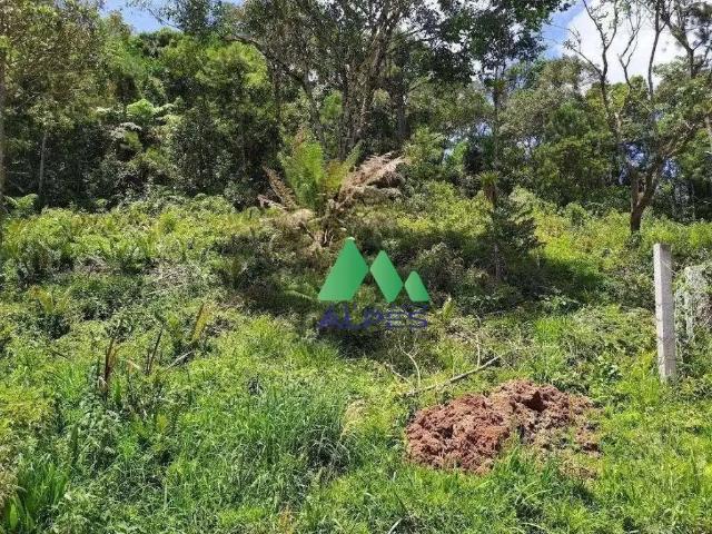 Sítio / Chácara para Venda em Tijucas do Sul/PR Matulão 1 Quartos