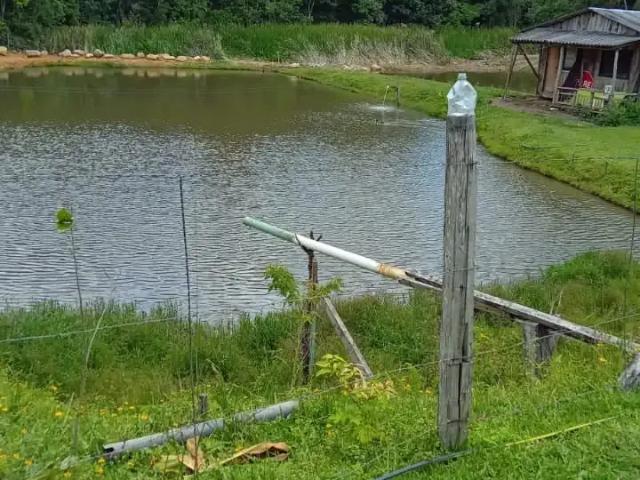 Sítio / Chácara para Venda em Tijucas do Sul/PR Matulão 2 Quartos