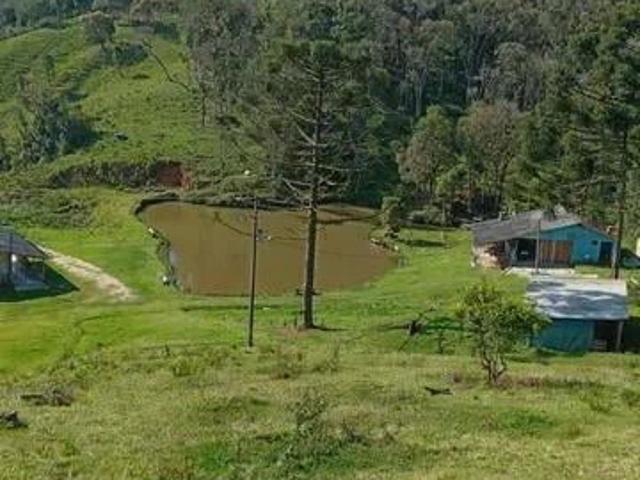 Sítio / Chácara para Venda em Tijucas do Sul/PR Matulão