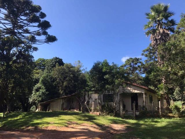 Sítio / Chácara para Venda em Tijucas do Sul/PR Rio do Una 3 Quartos