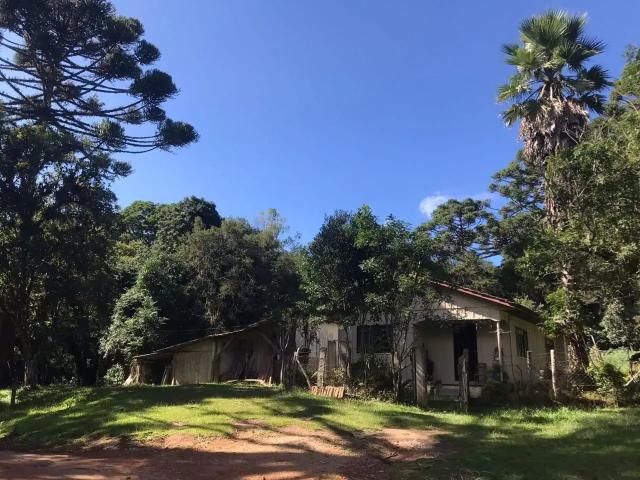 Sítio / Chácara para Venda em Tijucas do Sul/PR Rio do Una 3 Quartos