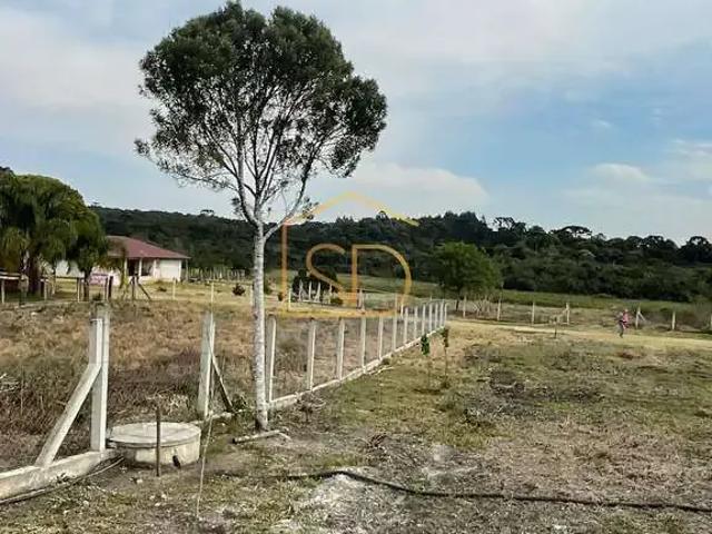 Sítio / Chácara para Venda em Tijucas do Sul/PR Rio do Una
