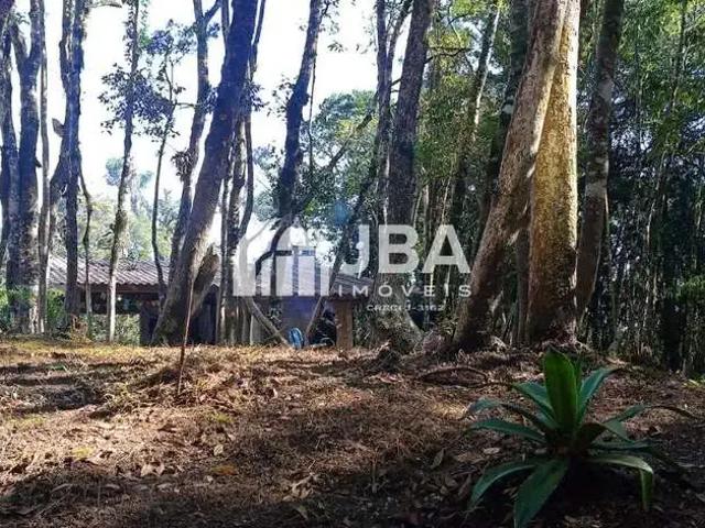 Sítio / Chácara para Venda em Tijucas do Sul/PR Ribeirão do Mel 2 Quartos