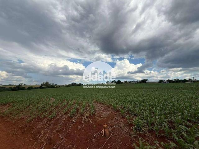 Sítio / Chácara para Venda em Tijucas/SC Zona Rural