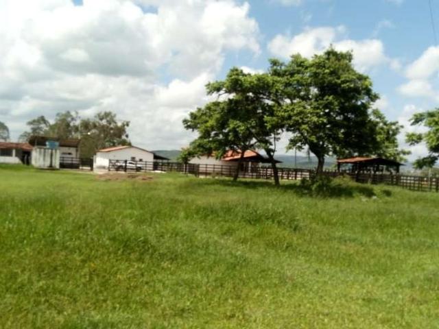 Sítio / Chácara para Venda em Timbaúba/PE Centro 4 Quartos