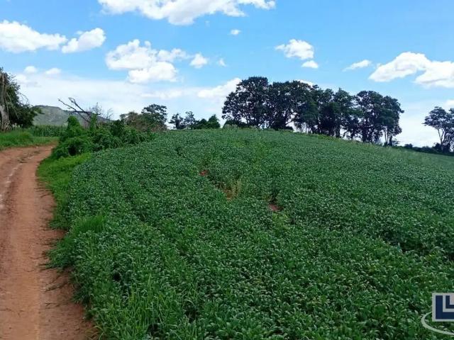 Sítio / Chácara para Venda em Três Corações/MG Área Rural de Três Corações