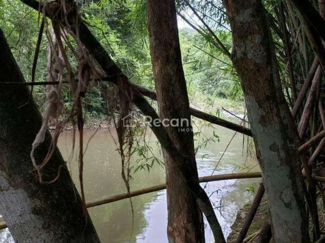Sítio / Chácara para Venda em Três Coroas/RS Zona Rural