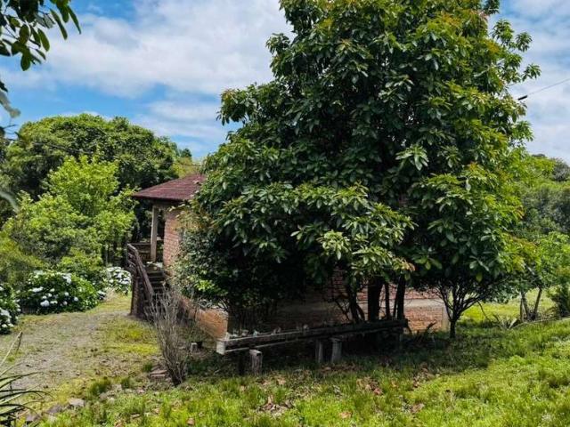 Sítio / Chácara para Venda em Três Coroas/RS Serra Grande 2 Quartos