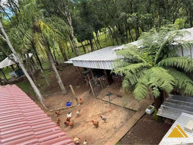 Sítio / Chácara para Venda em Três Coroas/RS Serra Grande