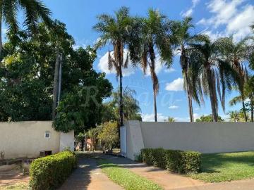 Sítio / Chácara para Venda em Três Fronteiras/SP Loteamento Guanabara 4 Quartos