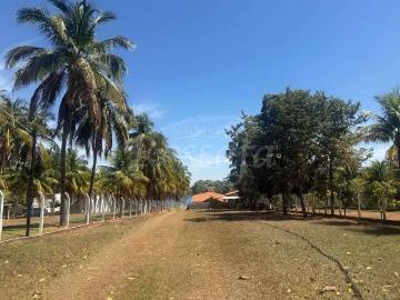 Sítio / Chácara para Venda em Três Fronteiras/SP Loteamento Guanabara 4 Quartos