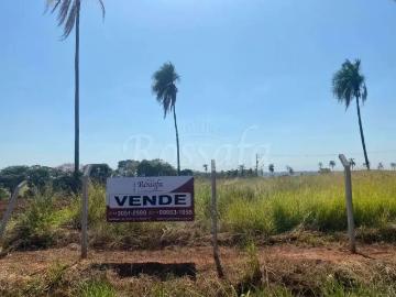 Sítio / Chácara para Venda em Três Fronteiras/SP Zona Rural
