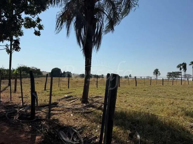 Sítio / Chácara para Venda em Três Fronteiras/SP Zona Rural 3 Quartos