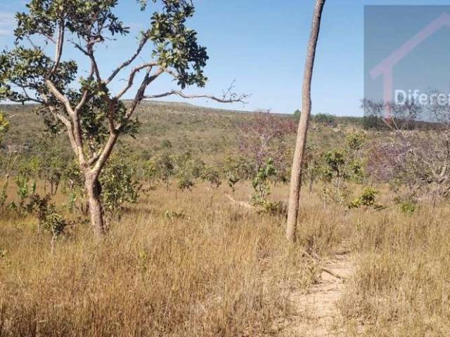 Sítio / Chácara para Venda em Três Marias/MG Zona Rural