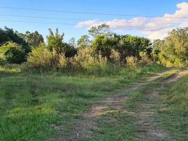 Sítio / Chácara para Venda em Triunfo/RS Costa Da Cadeia 2 Quartos