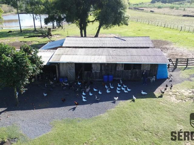 Sítio / Chácara para Venda em Triunfo/RS Fazenda Barbosa 3 Quartos