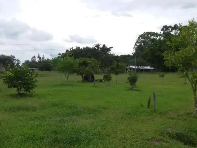 Sítio / Chácara para Venda em Triunfo/RS Passo Raso 2 Quartos