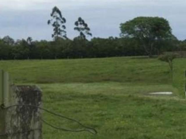 Sítio / Chácara para Venda em Triunfo/RS Passo Raso 5 Quartos