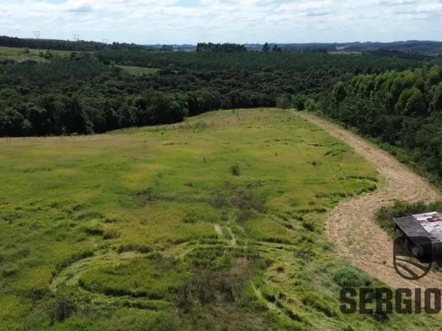Sítio / Chácara para Venda em Triunfo/RS Zona Rural 2 Quartos